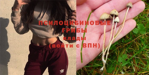 шишки Армянск