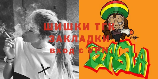 шишки Армянск